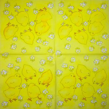 049 Küken - 3-lagig - (49)